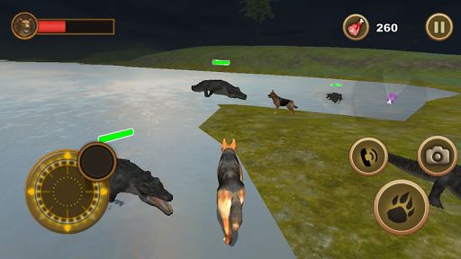 Wild Dog Survival Simulator image